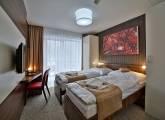 Dvojlôžková izba - Kúpele Bardejov Hotel Alexander